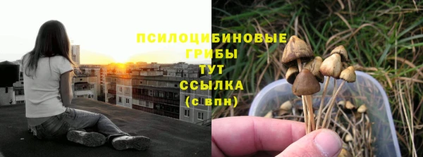 бошки Переславль-Залесский