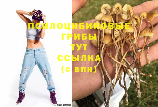 jwh Верея