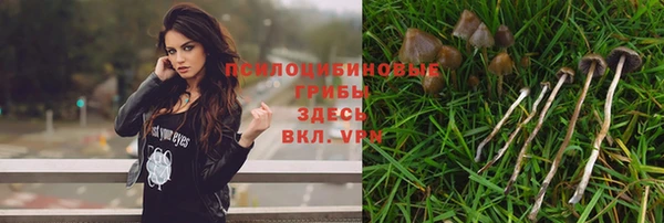 гидропоника Пестово