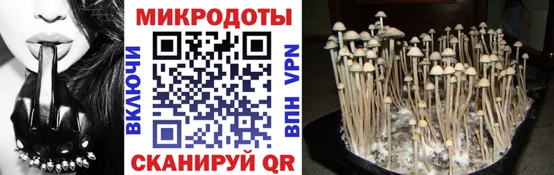 Псилоцибиновые грибы мицелий  Ельня 